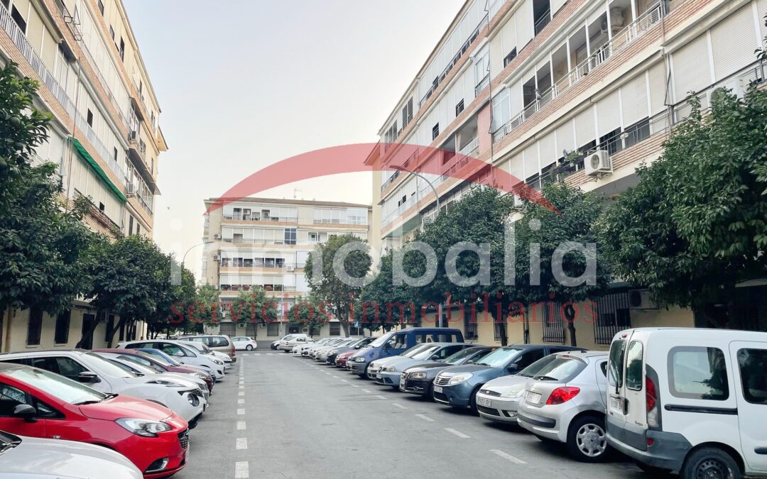 ¿Buscas piso en Parque Alcosa?