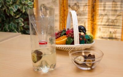 10 trucos para eliminar las moscas en casa este verano